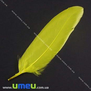 Перья Утиные, Желтые, 7-15 см, 1 уп (10 шт) (PER-002761)