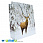 /p35649-podarochniy-paket-novogodniy-26x36x10-sm-krasniy/