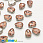 /p40730-shaton-kaplya-8x6-mm-temnoe-serebro-shampan/