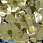 /p41825-payetki-indiya-listiki-15x14-mm-zheltie/
