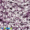 /p37811-payetki-indiya-kruglie-granenie-5-mm-sirenevie/