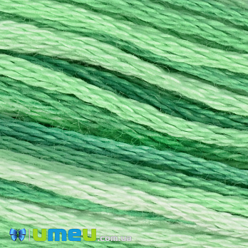 Мулине DMC 0125 Меланж зеленый (DMC-034256)
