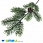 /p42860-vetka-eli-s-shishkoy-golubaya-24-25-sm/