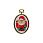 /p61243-nabor-dlya-vishivaniya-nitkami-s-ramkoy-santa/