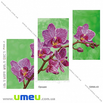 Схема триптих для виш. бісером Dana, Орхідея DANA-43 (SXM-034468)
