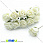 /p8415-roza-lateksnaya-15-mm-kremovaya/