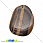 /p22097-podveska-iz-naturalnogo-kamnya-tigroviy-glaz-41x31-mm/