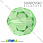 /p5353-busina-swarovski-5000-peridot-10-mm-granenaya-kruglaya/