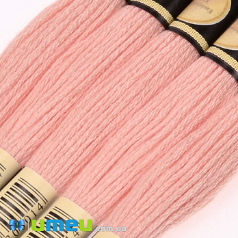 Муліне CXC 3824 Абрикосовий, св. (CXC-050450)