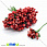 /p15432-tichinki-na-provoloke-krasnie/
