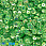 /ru/p48066-payetki-kitay-kruglie-granenie-6-5-mm-salatovie-av/