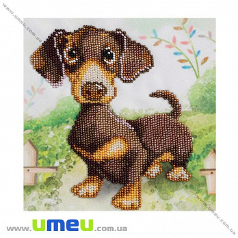 Схема для виш. бісером VDV, Такса Т-484, 17х17 см (SXM-029279)