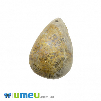 Подвеска из натурального камня Коралл окаменелый, Капля, 31х21 мм, 1 шт (POD-037029)