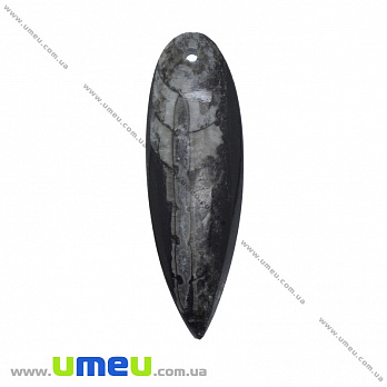 Подвеска из натурального камня, Ортоцерас, 68х21 мм, 1 шт (POD-011966)