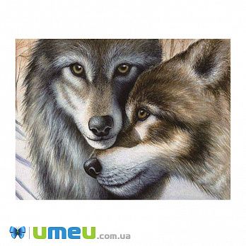 [Архів] Набір алмазного живопису Вовки. Двоє, 40х30 см (SXM-039561)