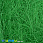 /p42946-sizal-zelenaya/