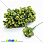 /p15439-tichinki-na-provoloke-haki/