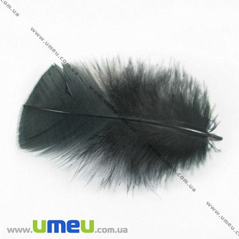 Перья Индейки, Черные, 7-12 см, 1 уп (10 шт) (PER-001767)