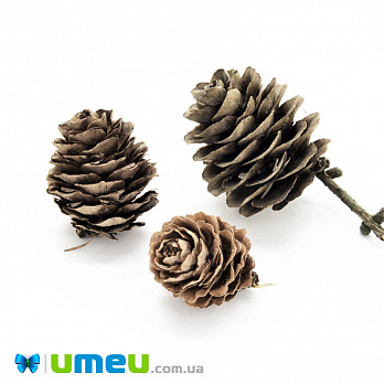 Шишка модрини, 20-35 мм, Коричнева (DIF-042876)