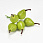 /p62794-grushi-na-provoloke-30x23-mm/