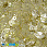/p41828-payetki-indiya-rakushka-13x12-mm-zheltie/