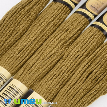 Муліне CXC 0831 Оливково-золотий, пор. (CXC-050261)