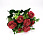 /p55157-buket-roz-31-sm-krasniy/