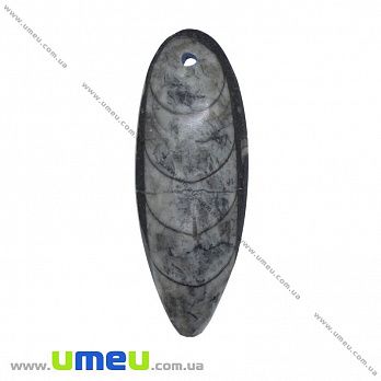 Подвеска из натурального камня, Ортоцерас, 63х23 мм, 1 шт (POD-009282)