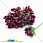 /p15433-tichinki-na-provoloke-bordovie/