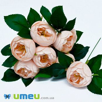 [Архів] Півонія тканинна, 65 мм, Персикова (DIF-044977)