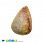 /p31647-podveska-iz-naturalnogo-kamnya-korall-okameneliy-kaplya-37x25-mm/