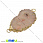 /p37006-konnektor-iz-naturalnogo-kamnya-druza-agata-v-metalle-bezheviy-40x20-mm/