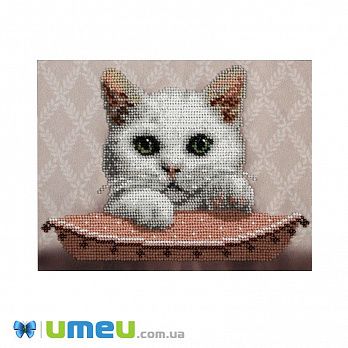 Набір для вишивання бісером VDV, Киця Мася ТН-0827, 20,5х15 см (SXM-048135)