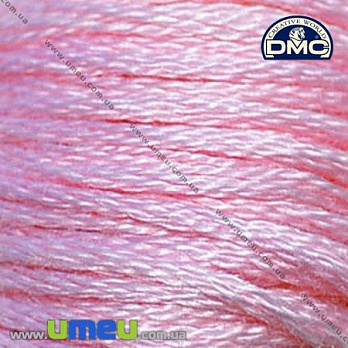 Мулине DMC 3689 Розовато-лиловый, св., 8 м (DMC-006189)