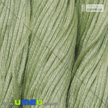 [Архів] Муліне ПНК Кірова 4602 (SXM-026597)