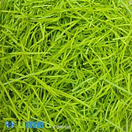 Екофілер (паперовий наповнювач), Салатовий, 50 г (DIF-044372)
