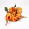 /p55169-buket-roz-31-sm-oranzheviy/