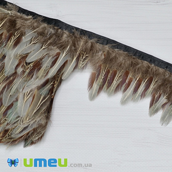 Перья фазана на ленте, 6-8 см, Коричневые натуральные, 10 см (PER-038976)