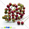 /p15497-kalina-bolshaya-12-mm-krasno-zelenaya/