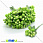 /p15438-tichinki-na-provoloke-salatovie/