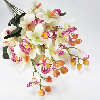 Букет орхідей, 70 см, Кремовий (DIF-062119)