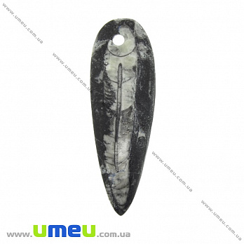 Подвеска из натурального камня, Ортоцерас, 64х21 мм, 1 шт (POD-033538)