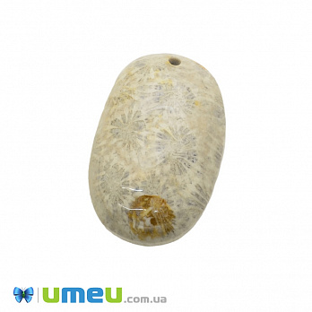 Подвеска из натурального камня Коралл окаменелый, Овальная, 31х20 мм, 1 шт (POD-037030)