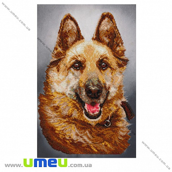 Схема для виш. бісером VDV, Вірний друг Т-10, 42х26,5 см (SXM-029144)