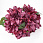 /ru/p62575-buket-georgin-48-sm/