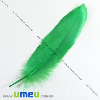 Перья Утиные, Зеленые, 7-15 см, 1 уп (10 шт) (PER-002766)