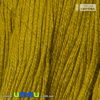 [Архів] Муліне ПНК Кірова 5004 (SXM-026942)