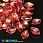 /p46168-busina-lampwork-lepestok-19x13-mm-krasnaya/