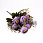 /ru/p55164-buket-pionov-30-sm-sireneviy/