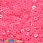 /p37604-payetki-indiya-kruglie-ploskie-2-5-mm-rozovie/